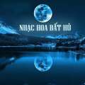 Nhạc chất lượng cao Nhạc Hoa Bất Hủ Tuyển Chọn
