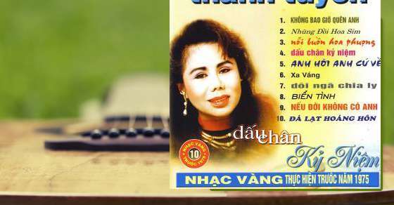 Nhịp cầu tri âm (trước 1975) - Thanh Tuyền - Nghe nhạc